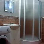 Salis